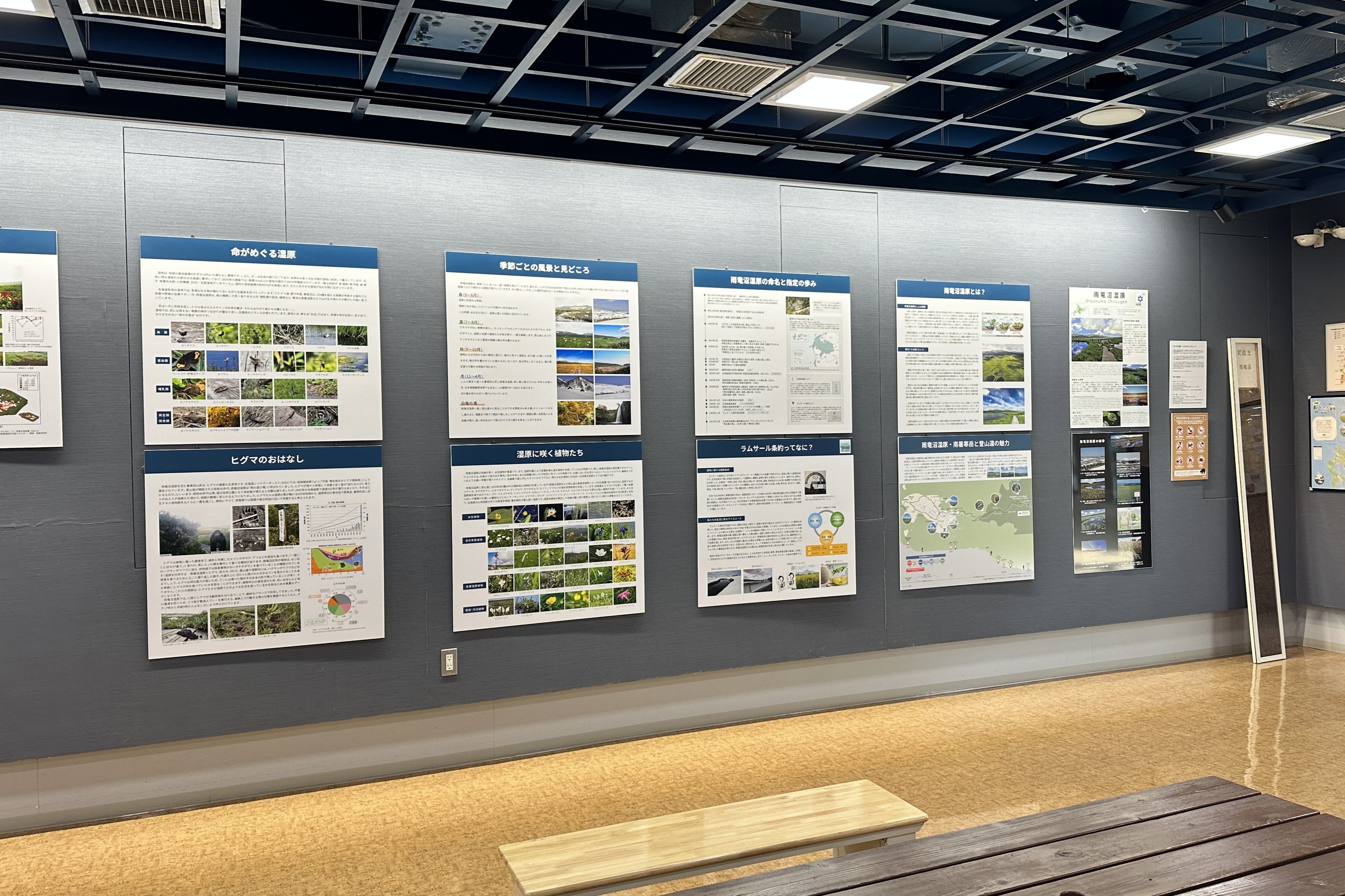 雨竜沼自然館リニューアル